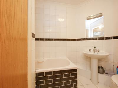 Picture 5